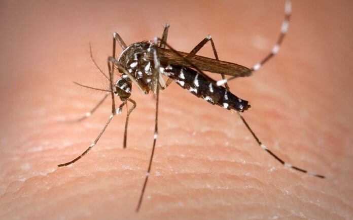 WestNileVirus 13 8 2024